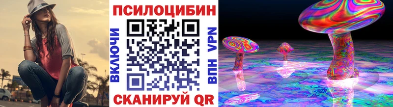 Галлюциногенные грибы Cubensis KRAKEN зеркало Красный Сулин
