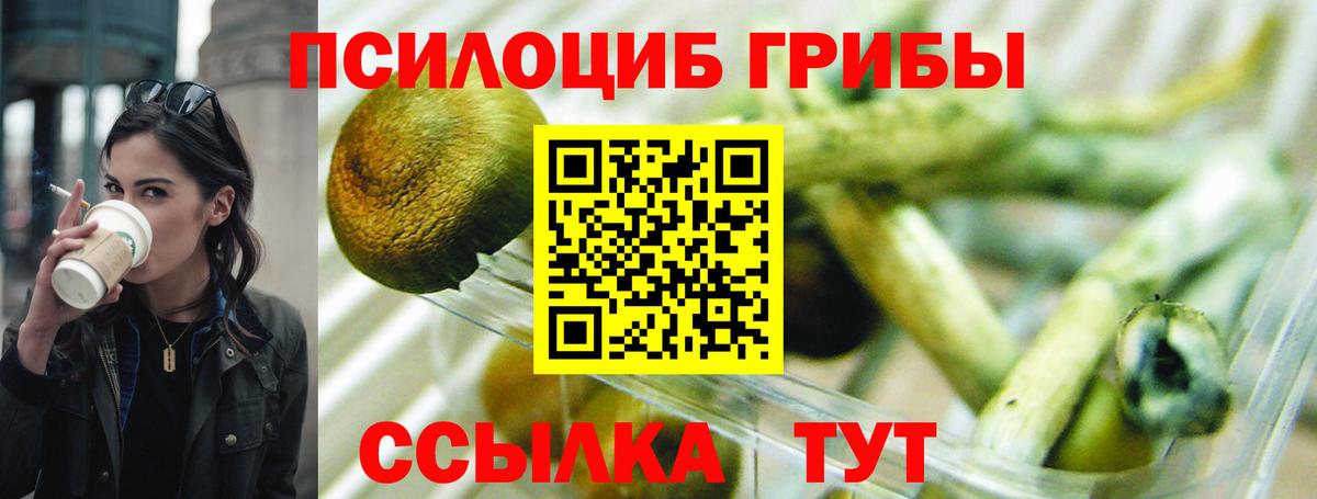 Красный Сулин  Галлюциногенные грибы мицелий  Вход с VPN 